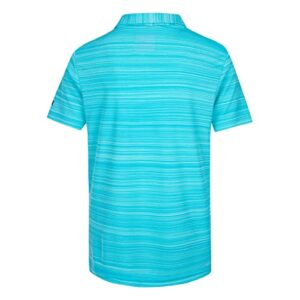 Hurley Boys' Performance Polo Shirt, Aurora Green Heather, L