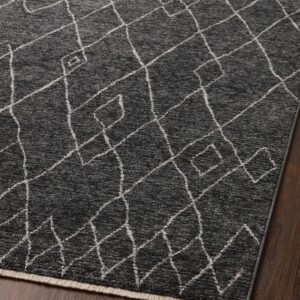 Loloi II Vance Collection VAN-11 Charcoal/Ivory 2'-3" x 3'-10" Accent Rug