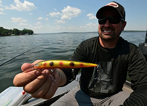 Rumble B Crankbait, Lemon Tiger, 3/8 Oz, Dives 10-14 Feet for Bass, Walleye, Trout, and Pike