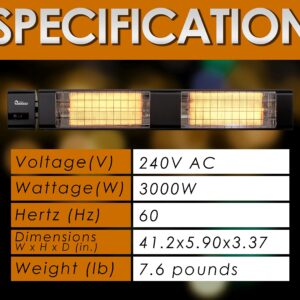 Dr. Infrared Heater 10,260 BTU Infrared Heater, Indoor and Outdoor Heater for Patio, Garage, Commercial & Residential, 3000W, 220-240V with Remote, Black