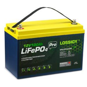 lossigy 12v 100ah lifepo4 battery, deep cycle rechargeable lithium with bms, 10 yrs lifespan, prefect for any solar system, best for replacement your olds.