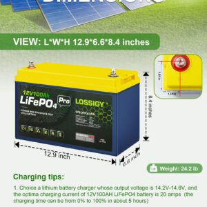 LOSSIGY 12V 100AH Lifepo4 Battery, Deep Cycle Rechargeable Lithium with BMS, 10 Yrs Lifespan, Prefect for Any Solar System, Best for Replacement Your Olds.