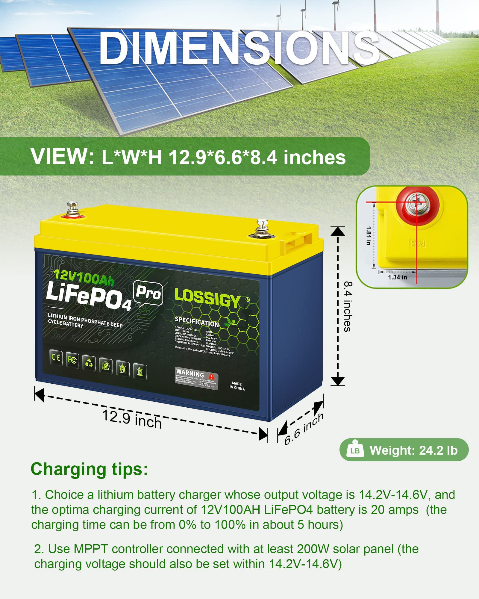 LOSSIGY 12V 100AH Lifepo4 Battery, Deep Cycle Rechargeable Lithium with BMS, 10 Yrs Lifespan, Prefect for Any Solar System, Best for Replacement Your Olds.