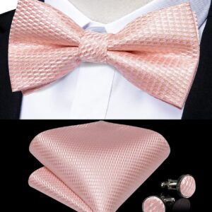 DiBanGu Men's Silk Pretied Bow Ties Adjustable Blush Pink Bowtie and Lapel Pin Handky Cufflinks Set for Husband Wedding