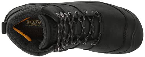 KEEN Men's Targhee 2 Waterproof Insulated Hiking Boot, Black/Black, 12