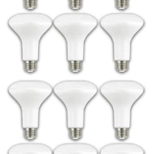 EcoSmart 65-Watt Equivalent BR30 Dimmable Energy Star LED Light Bulb Soft White (12-Pack)