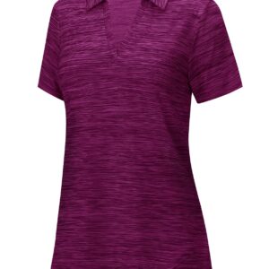 Viracy Womens Golf Apparel, V Neck Yoga Tops Short Sleeve Quick Dry Loose Fit Lightweight Breathable Running Hiking Workout Clothes, Purple-2XL