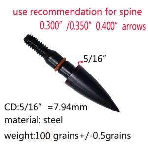 Field Points arrowheads 100 Grains Archery Field Points,5/16" Steel Screw in Archery Field Tips and Broadheads (1 Dozen 12 PCS)