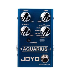 JOYO R-07 Aquarius Digital Delay Pedal Bundle with DC 9V Pedal Power Supply (800mA -1A) AC Adapter