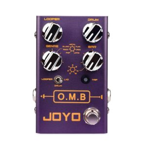 JOYO R-06 Looper & Drum Machine Pedal Bundle with DC 9V Pedal Power Supply (800mA -1A) AC Adapter