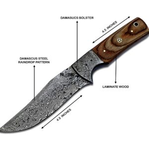 PAL 2000 KNIVES DAM-6010 Handmade Damascus Steel Knife laminate wood with Leather Sheath