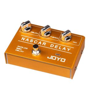 JOYO R-10 Analog Delay Effect Pedal Bundle with DC 9V Pedal Power Supply (800mA -1A) AC Adapter