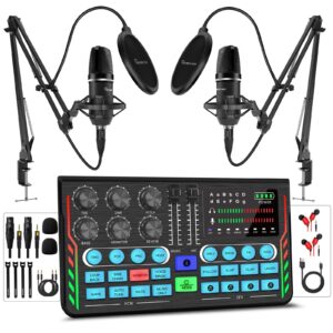 Hayner-Seek Podcast Equipment Bundle for 2, DJ Mixer with 3.5mm Diaphragm Condenser Microphone for Live Streaming, Podcast Recording,Gaming, Youtube, TikTok, PC, Smartphone