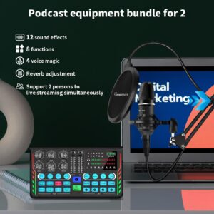 Hayner-Seek Podcast Equipment Bundle for 2, DJ Mixer with 3.5mm Diaphragm Condenser Microphone for Live Streaming, Podcast Recording,Gaming, Youtube, TikTok, PC, Smartphone