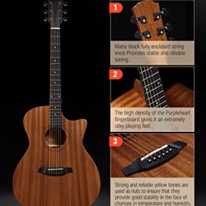 Donner Acoustic Guitar Beginner Full Size 41 Inch Soild Mahogany Top Cutaway Grand Auditorium Adult Starter Bundle Kit with Gig Bag Strap Tuner Capo Pickguard String 4 Picks Cloth Right Hand BLACK