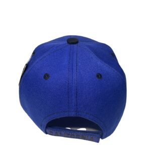 Embroidered Mens Womens Cap HAT Curved Bill Baseball California Republic Bear Blue