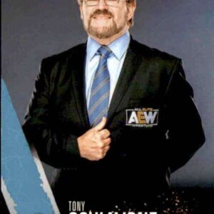 2021 Upper Deck All Elite Wrestling AEW #79 Tony Schiavone Official Trading Card