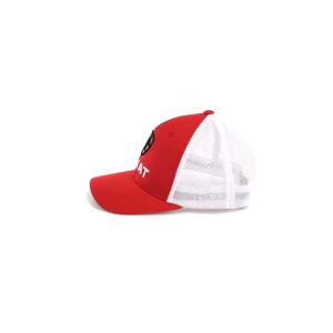 ARIAT Men's Red Flexfit USA Shield Logo Cap