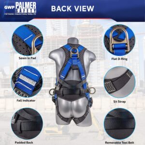 Palmer Safety Hammerhead 5pt Safety Harness 6' Safety Lanyard, D-Ring Extender Combo Kit 4 I OSHA ANSI Industrial Roofing Tool Personal Equipment (Blue - LG)