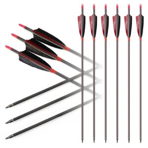 hosolee 12 pack carbon arrows 500 spine archery targeting arrow with real feathers and field points for compound recurve bows (29 inch)