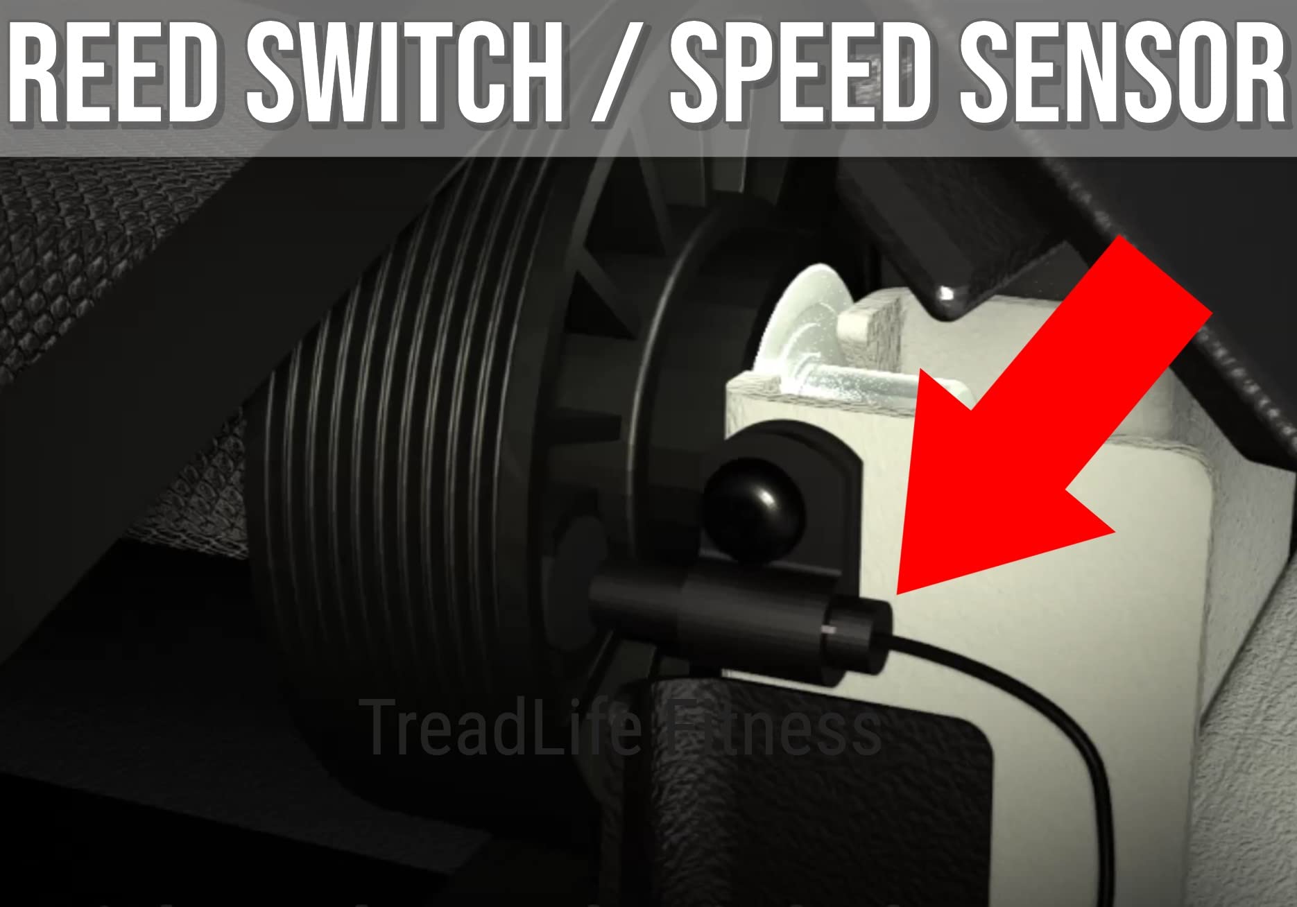 Treadmill Reed Switch - Speed Sensor - 52" Long (Replacement for NordicTrack, ProForm, Reebok, Gold's Gym, FreeMotion, HealthRider, and More)