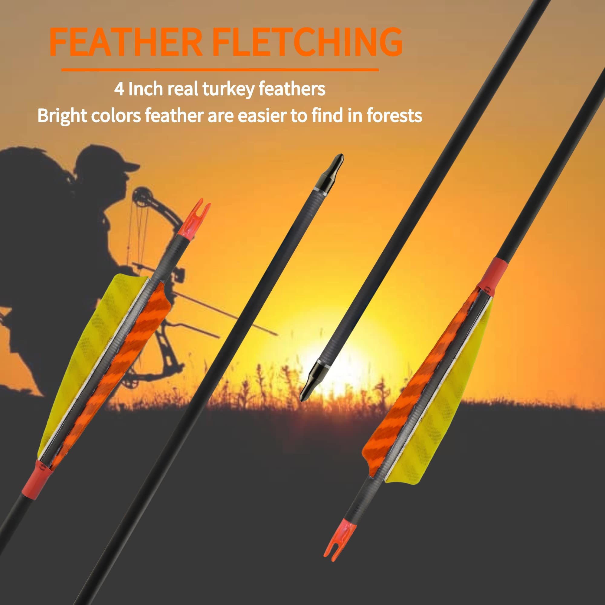 Hosolee 12 Pack Archery 500 Spine Carbon Arrows with Real Feathers and Removable Tips for Targeting Hunting Practice