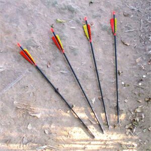 Hosolee 12 Pack Archery 500 Spine Carbon Arrows with Real Feathers and Removable Tips for Targeting Hunting Practice