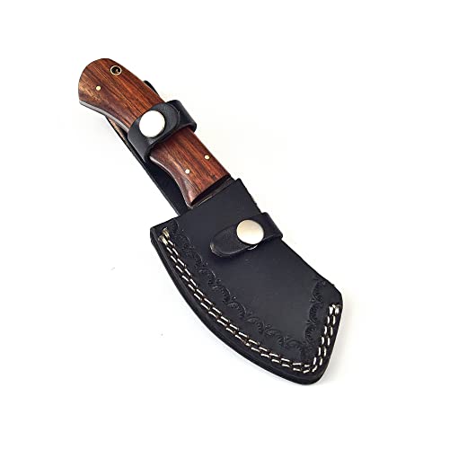 Armory Replicas Slice of Paradise Cleaver | Small Fixed Blade Full Tang Outdoor Hunting Knife W/Sheath