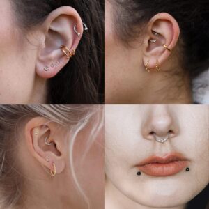 12PCS 16G Septum Clicker Ring 316L Stainless Steel Septum Ring CZ Opal Cartilage Helix Tragus Hoop Daith Earrings Hinged Segment Clicker Ring Zirconia Nose Rings Hoop 10MM Nose Piercing Jewelry Silver