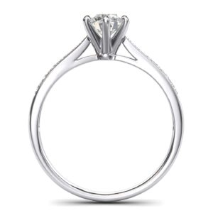 14k white gold 1.0 CT Classic 6-Prong Genuine Moissanite Engagement Ring Graduated Side Stones Promise Bridal Ring (8)