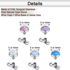 PunkTracker 10Pcs 316L Stainless Steel Opal Dermal Piercing Jewelry Dermal Tops Internally Threaded Dermal Piercing Kit Dermal Jewelry