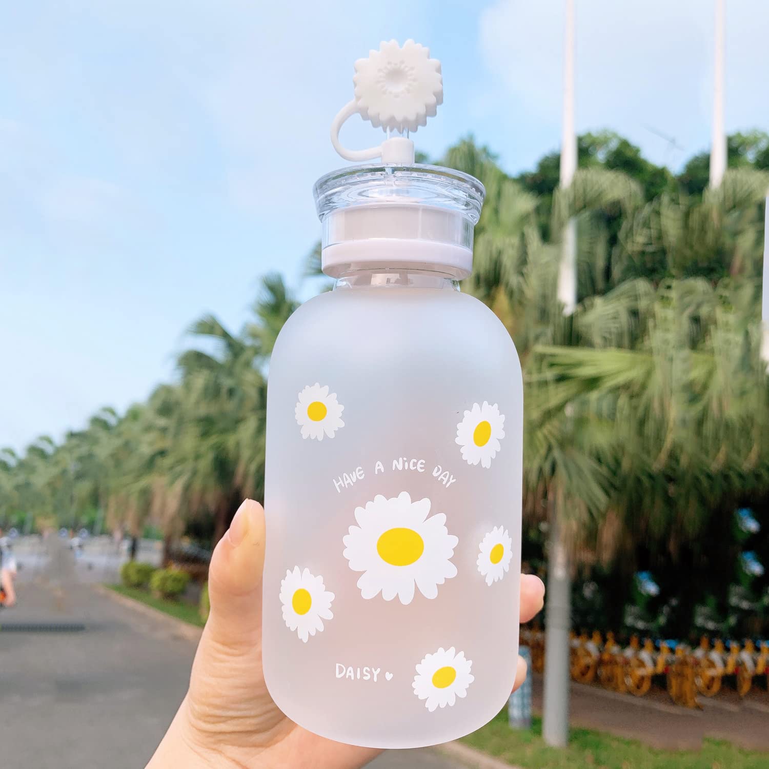 JZSMY 480ml Milk Juice Cute Water Bottle with Scale 2 Lids Little daisy Matte Portable Transparent Water Cup Glass Bottles Creative Handy Cup with Straw and Straw Plug (Matte 6 Flowers)