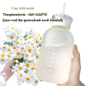 JZSMY 480ml Milk Juice Cute Water Bottle with Scale 2 Lids Little daisy Matte Portable Transparent Water Cup Glass Bottles Creative Handy Cup with Straw and Straw Plug (Matte 6 Flowers)