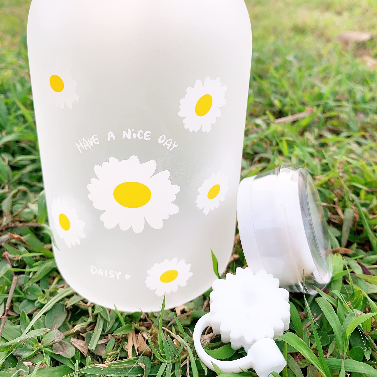 JZSMY 480ml Milk Juice Cute Water Bottle with Scale 2 Lids Little daisy Matte Portable Transparent Water Cup Glass Bottles Creative Handy Cup with Straw and Straw Plug (Matte 6 Flowers)