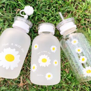 JZSMY 480ml Milk Juice Cute Water Bottle with Scale 2 Lids Little daisy Matte Portable Transparent Water Cup Glass Bottles Creative Handy Cup with Straw and Straw Plug (Matte 6 Flowers)