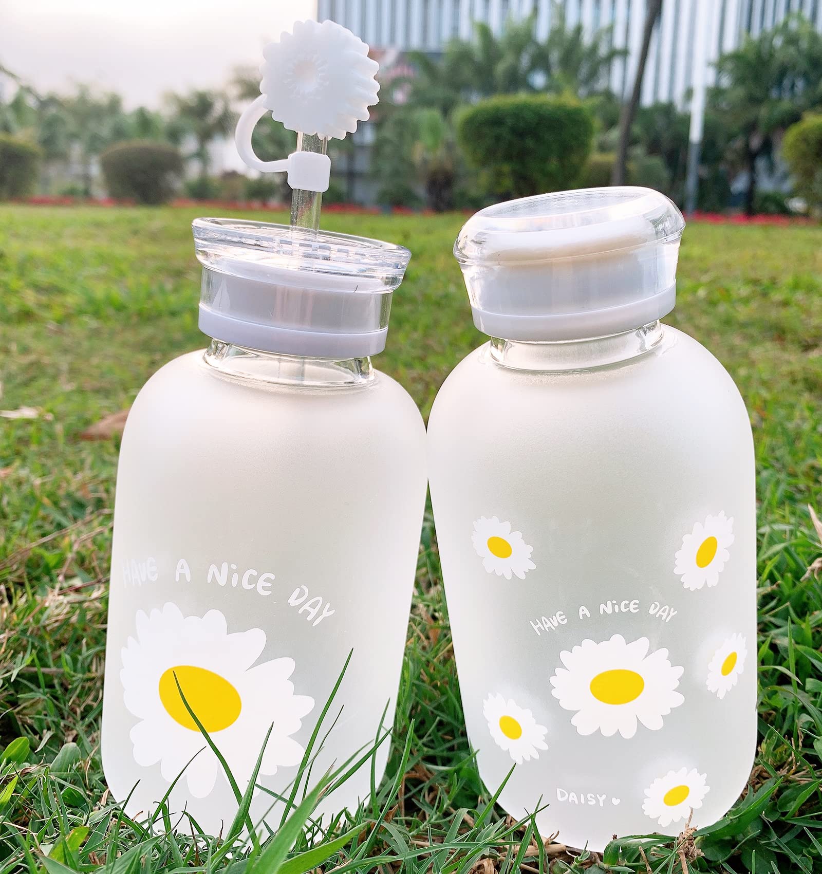 JZSMY 480ml Milk Juice Cute Water Bottle with Scale 2 Lids Little daisy Matte Portable Transparent Water Cup Glass Bottles Creative Handy Cup with Straw and Straw Plug (Matte 6 Flowers)