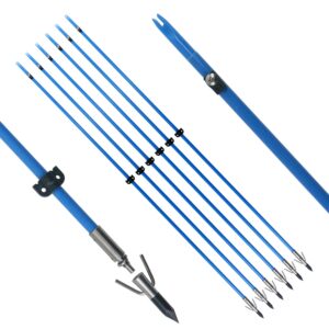 Tiger Archery 34inch Bowfishing Arrows Solid Fiberglass Shaft with Broadhead for Compound Bow and Recurve Bow Fishing Arrow Archery and Hunting (Pack of 6) (Blue)