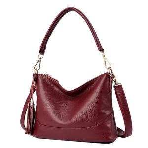 Mudono Crossbody Bag for Women Leather Shoulder Bag Tassel Satchel Retro Handbag Lightweight Purse