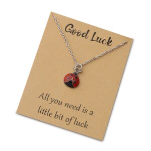 WUSUANED Good Luck Ladybug/Butterfly/Elephant Necklace Lucky Animal Charms Jewelry With Wish Cards Gift For Women(Ladybug necklace silver)