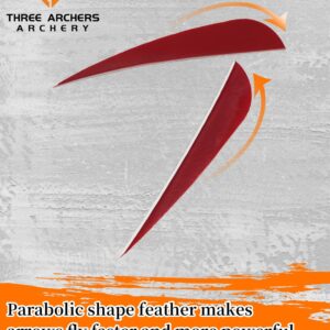 THREE ARCHERS 40 PK Arrow Feather Fletching 4” Nature Turkey Feather for Archery DIY Arrows (red)