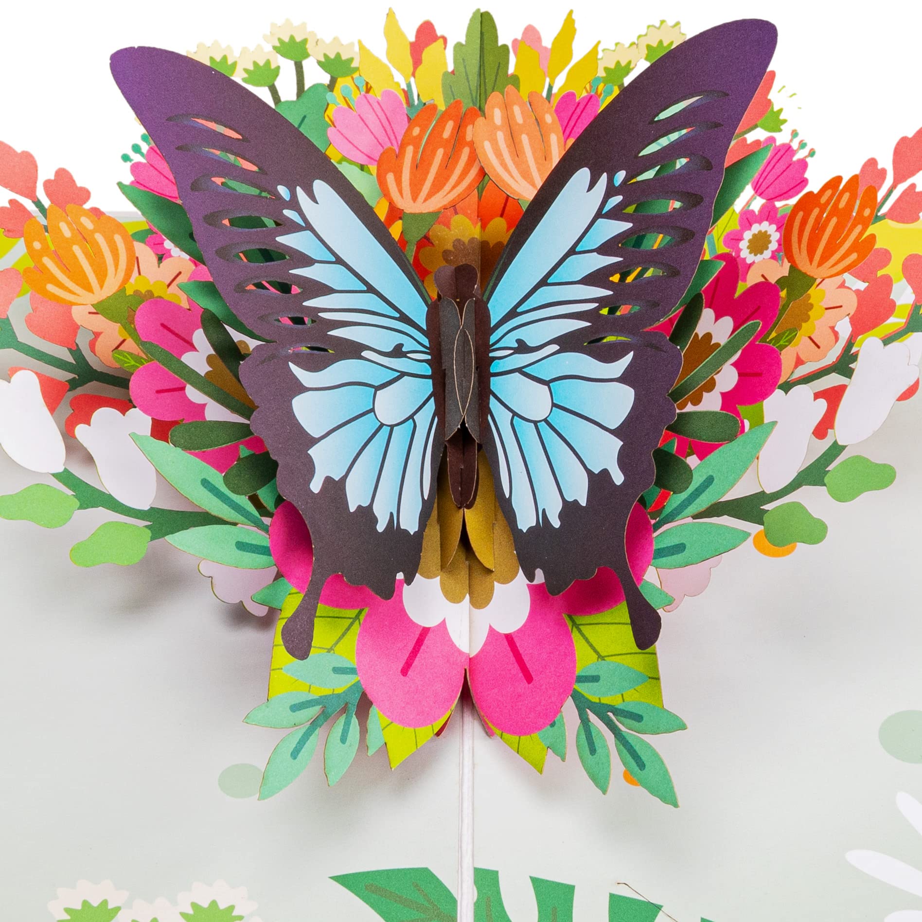 Paper Love 3D Spring Butterfly Pop Up Card, Gift for Birthday, Wedding, Anniversary, Thank You, Get Well, All Occasion or Just Because - 5" x 7" Cover - Includes Envelope and Note Tag