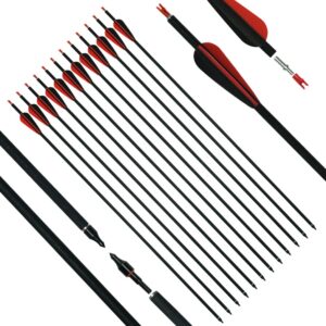 longbowmaker 12pcs archery carbon arrows 31in target practice hunting arrows with removable nock & tips points for recurve bow (black&red-12pcs)