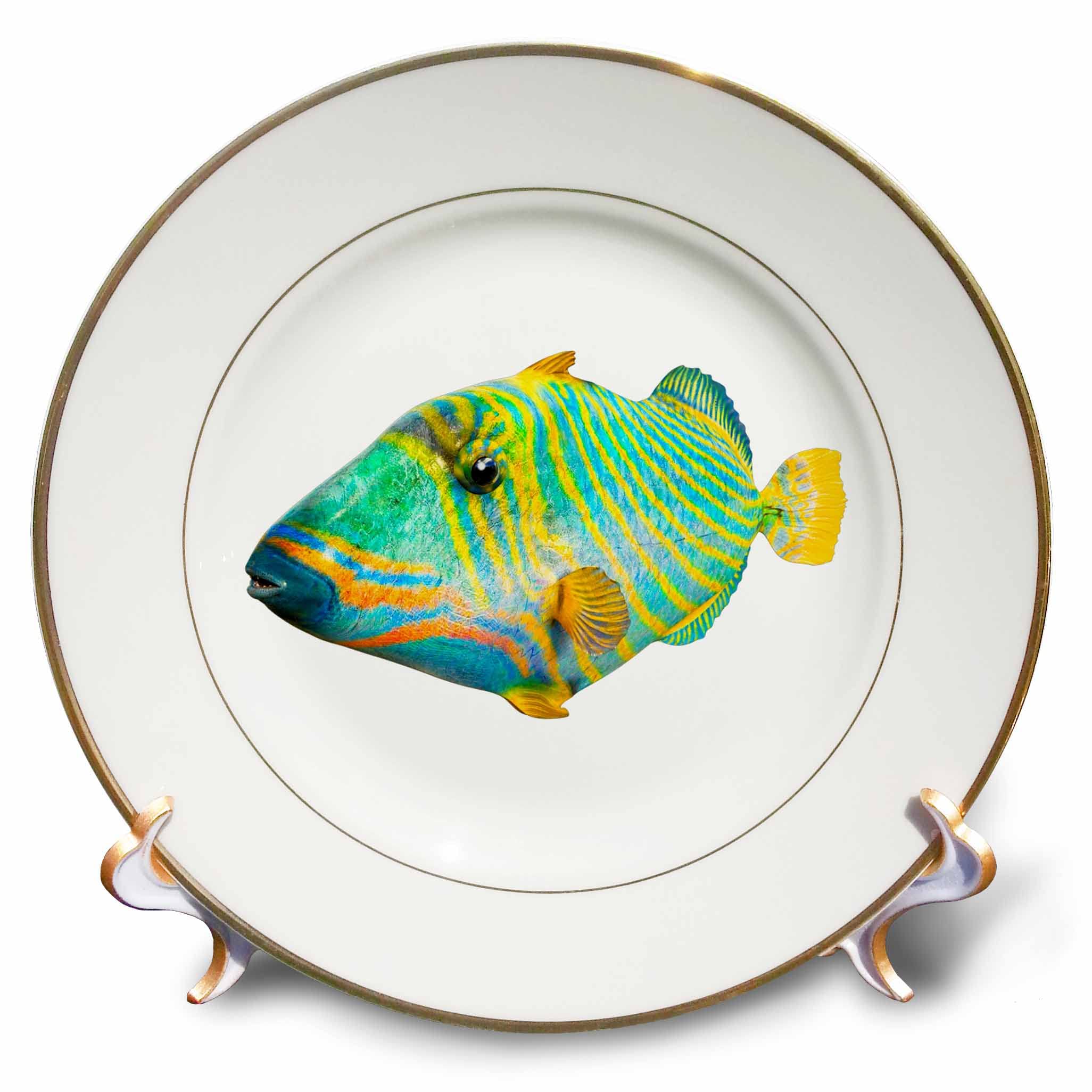 3dRose 8 inch Porcelain Plate - A Green and Yellow Saltwater Undulated Triggerfish Graphics Fish