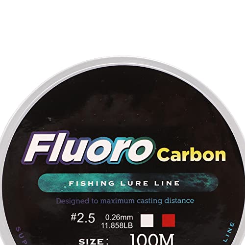 Super Strong Fishing Line, Durable 100M Nylon Fishing Line Lightweight for Pool Fishing(#2.5)