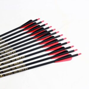 SOPOGER Archery 30inch Carbon Arrows 12 Pack and 6 Pack Hunting Broadhead Set Archery Arrow for Compound Bow & Recurve Bow Spine 500 Hunting Arrow with Removeable Tips Practice Target Shooting (Red)