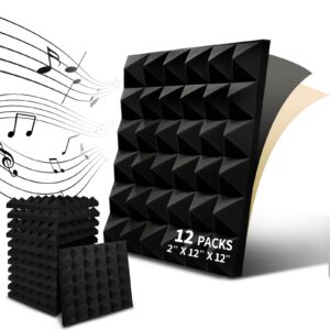 12 Pack Sound Proof Foam Panels,2"x12"x12"Self Adhesive Acoustic Foam Panels, Studio Wedge Tiles with High Density Fireproof,Sound Proofing Padding for Wall,Ceiling,Door,Bedroom(Black)