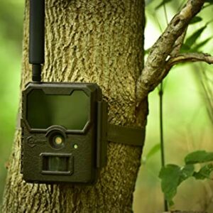 Covert Scouting Cameras WC20-V (Verizon Wireless) 4G LTE Cellular Game & Trail Camera for Hunting Deer and Wildlife – 20mp High-Res Images & 1080p Videos Transmitted to Mobile App, CC0012