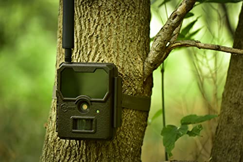 Covert Scouting Cameras WC20-V (Verizon Wireless) 4G LTE Cellular Game & Trail Camera for Hunting Deer and Wildlife – 20mp High-Res Images & 1080p Videos Transmitted to Mobile App, CC0012