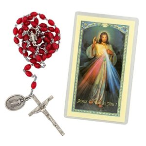 religious chaplet kit | includes prayer card, chaplet beads, and instructions | catholic prayer devotionals | great gift for first holy communion and confirmation (divine mercy)