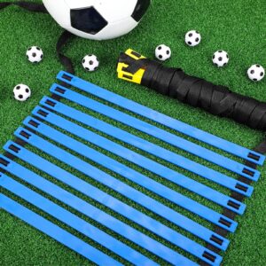 Sosation 2 Pieces Agility Ladder 20 Feet Adjustable Rungs Speed Training Exercise Ladders with Carry Bag for Kids and Adults Soccer Football Boxing Footwork Sports Speed Agility Training